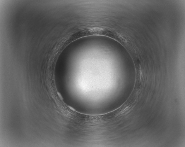 X0000055521249200508121034