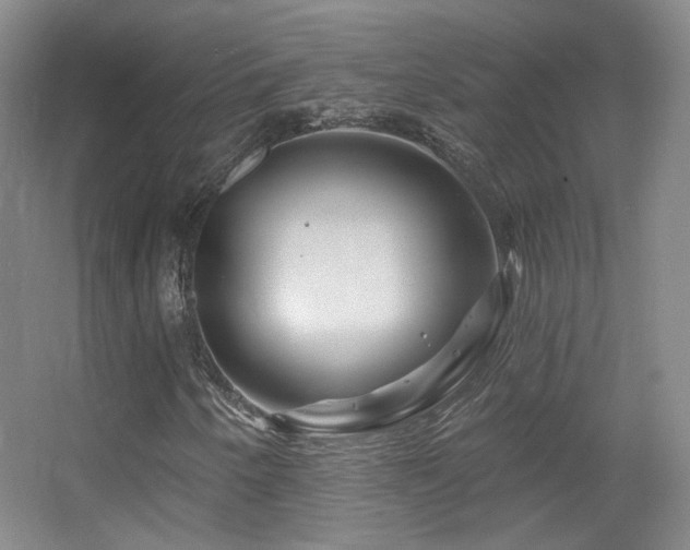 X0000055521250200508121034