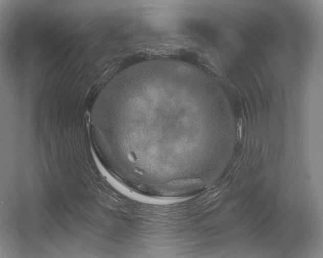 X0000055521251200508121034
