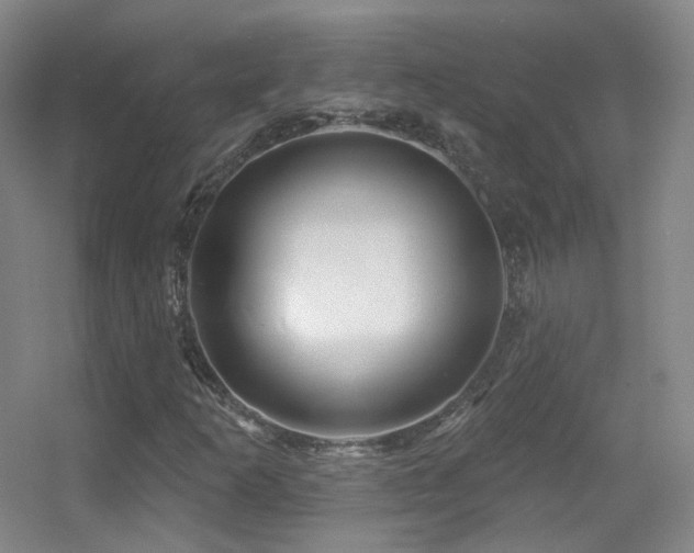 X0000055521253200508121034