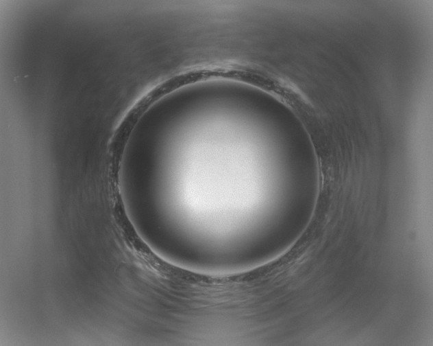 X0000055521256200508121034