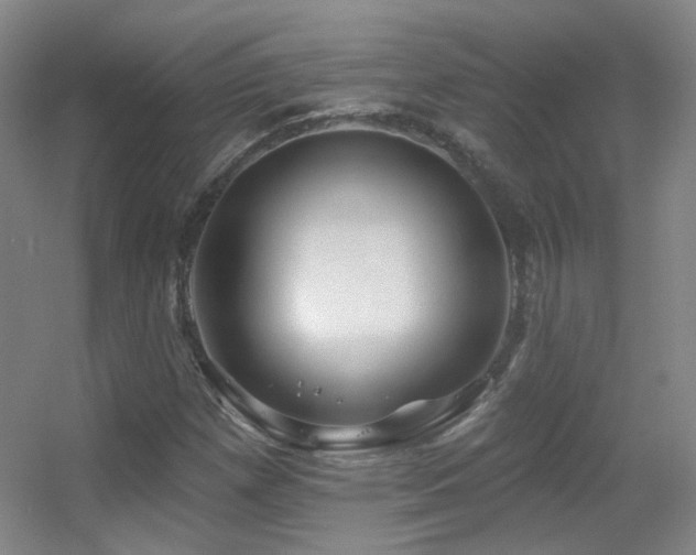 X0000055521257200508121034