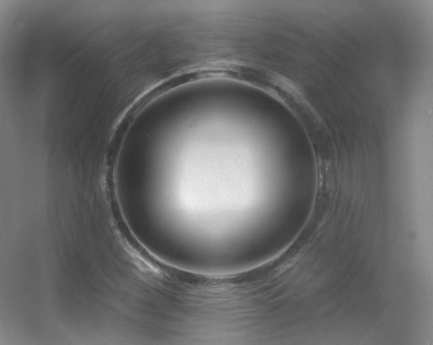 X0000055521260200508121034
