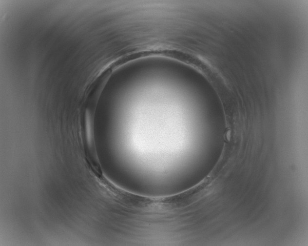 X0000055521265200508121034