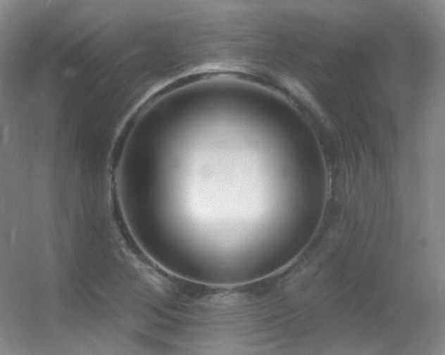 X0000055521268200508121034