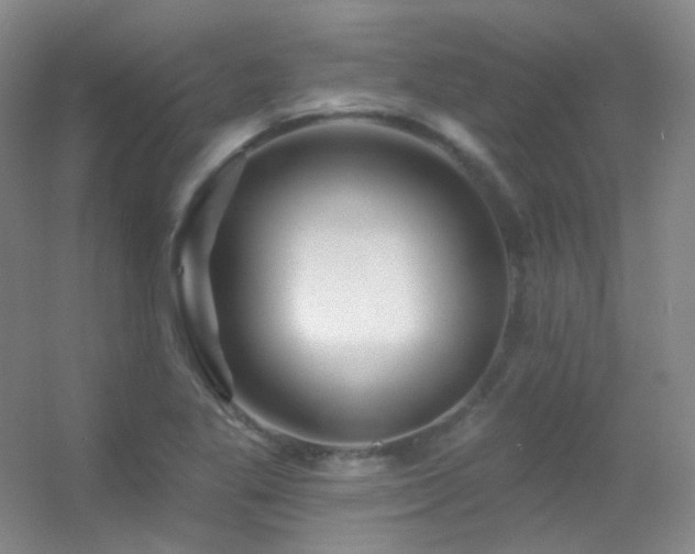 X0000055521269200508121034