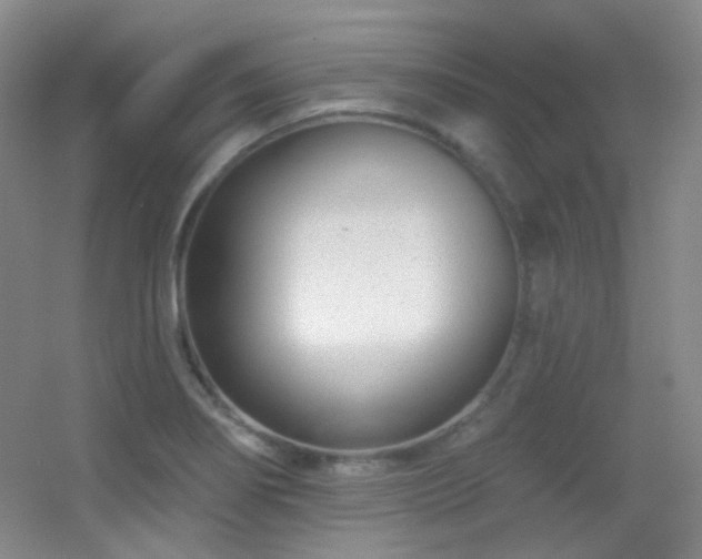 X0000055521274200508121034