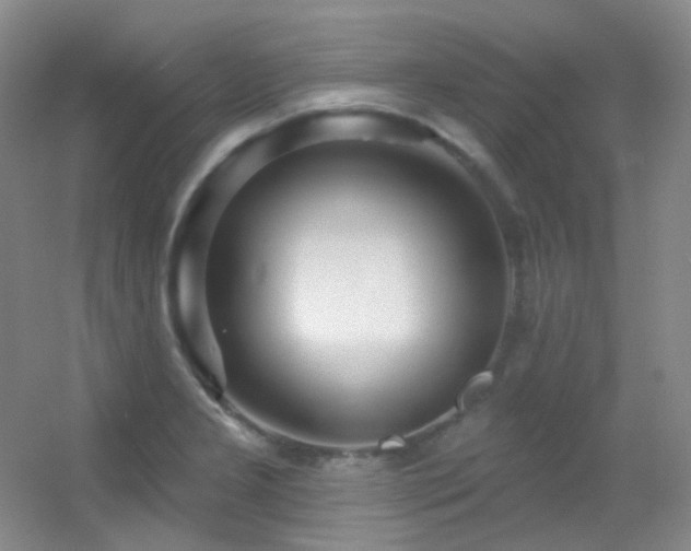 X0000055521277200508121034