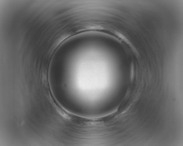 X0000055521281200508121034