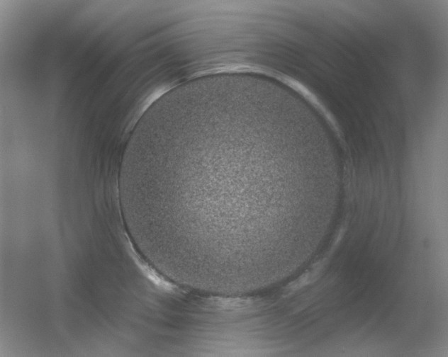 X0000055521289200508121033