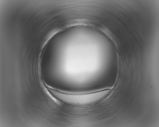 X0000055521290200508121033