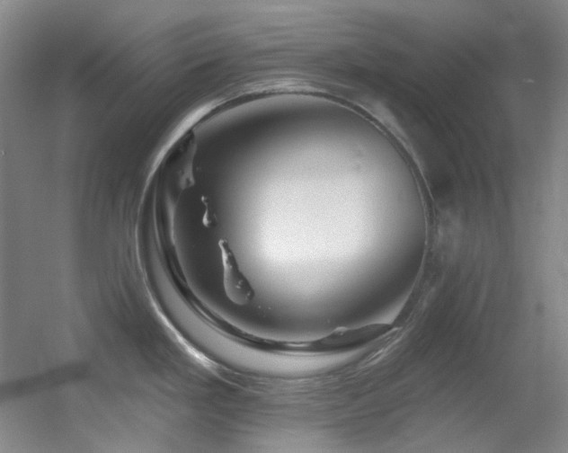 X0000055521293200508121033