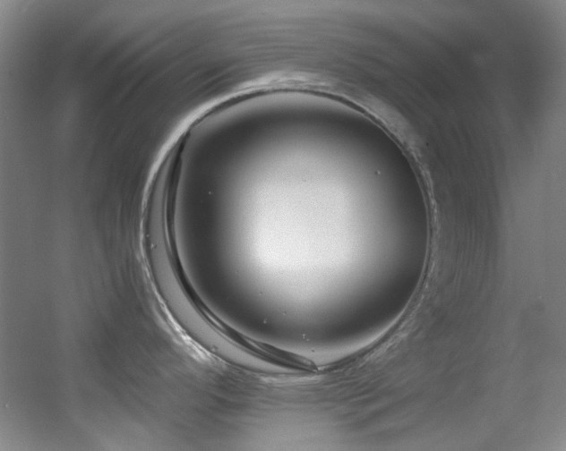 X0000055521296200508121033