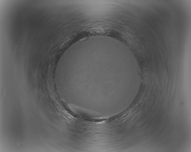 X0000055521297200508121033