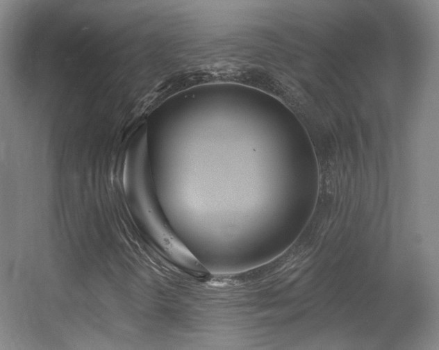 X0000055521298200508121033