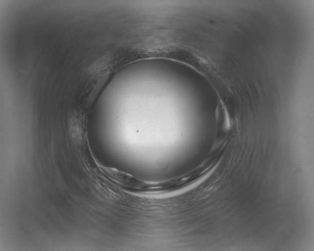 X0000055521300200508121033