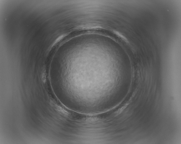 X0000055521306200508121033