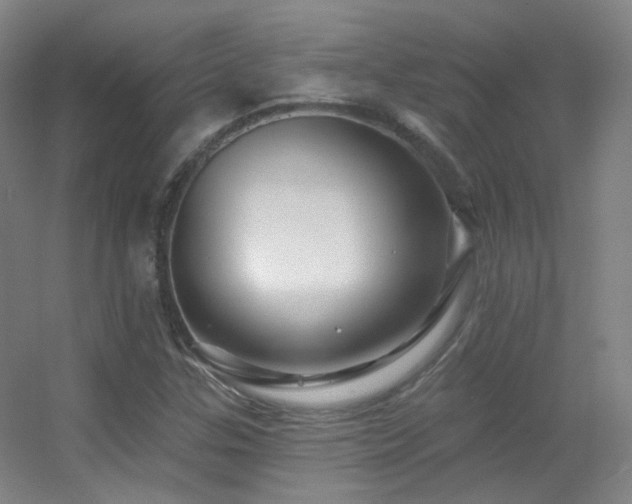X0000055521307200508121033