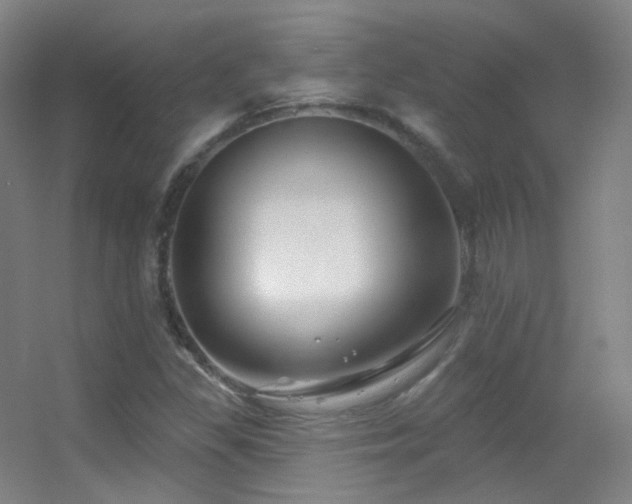 X0000055521309200508121033