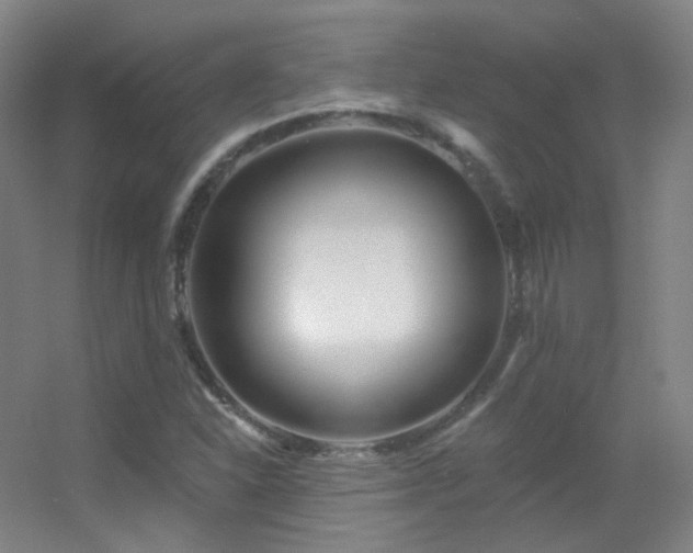 X0000055521310200508121033