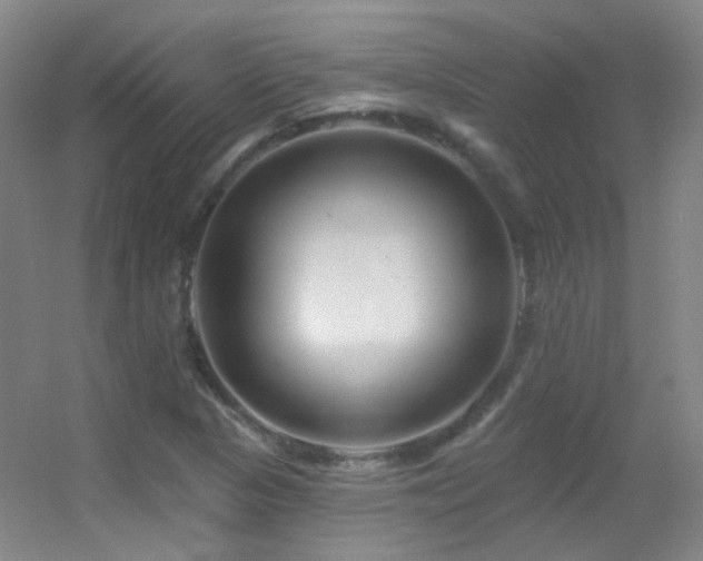 X0000055521313200508121033