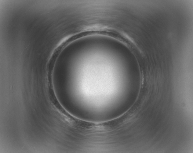 X0000055521315200508121033