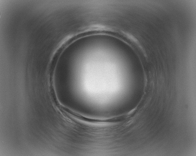 X0000055521318200508121033