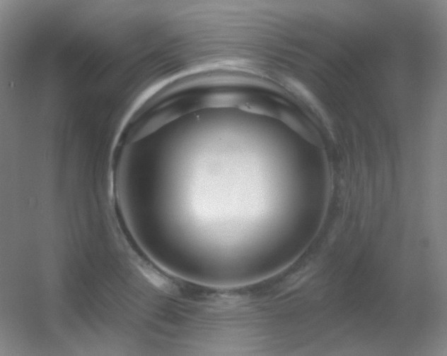 X0000055521324200508121033