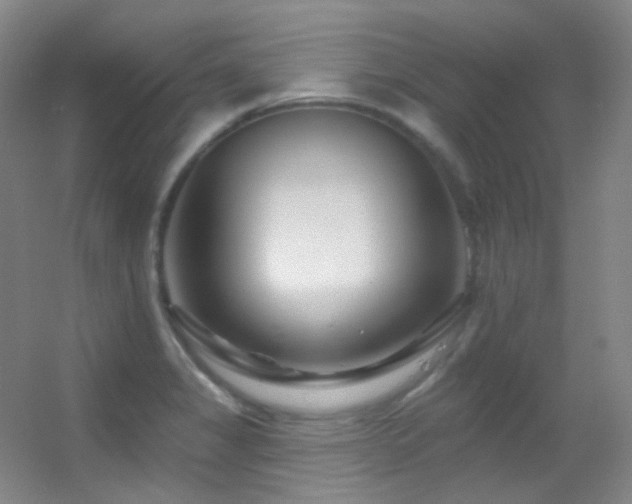 X0000055521325200508121033
