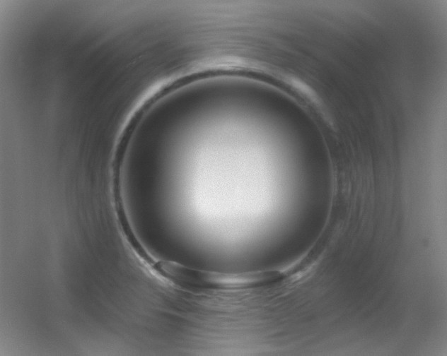 X0000055521326200508121033