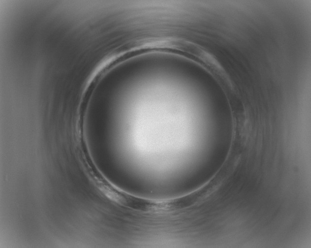 X0000055521328200508121033