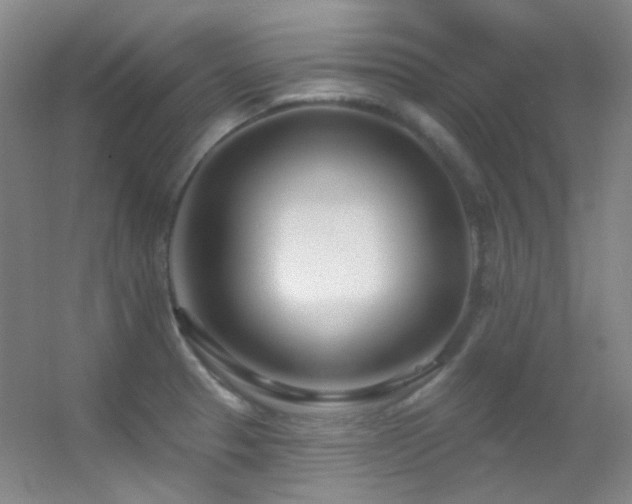 X0000055521329200508121033