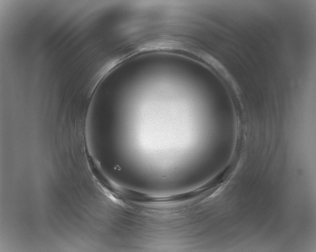 X0000055521337200508121033