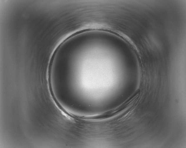 X0000055521343200508121033