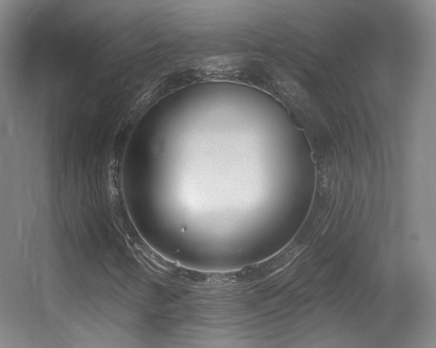 X0000055521346200508121032