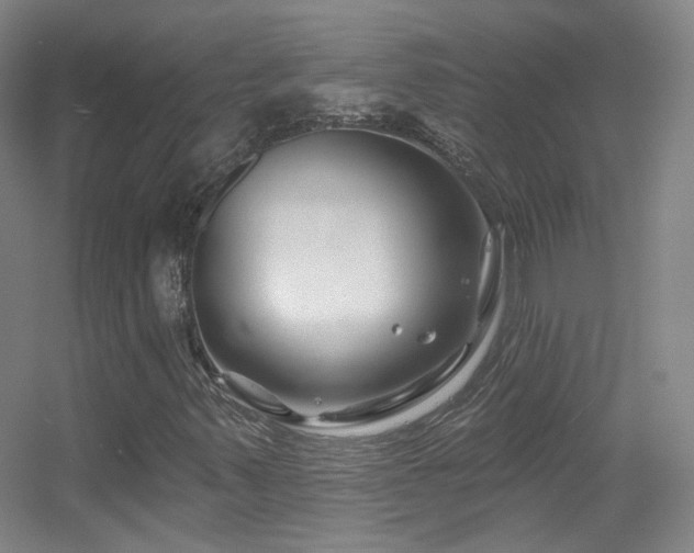 X0000055521347200508121032