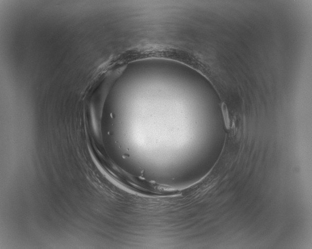 X0000055521348200508121032