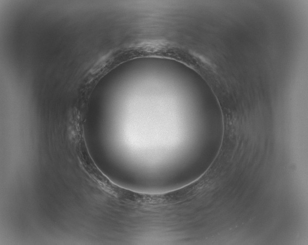 X0000055521349200508121032