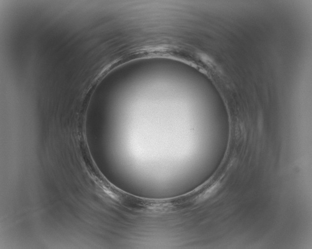 X0000055521353200508121032