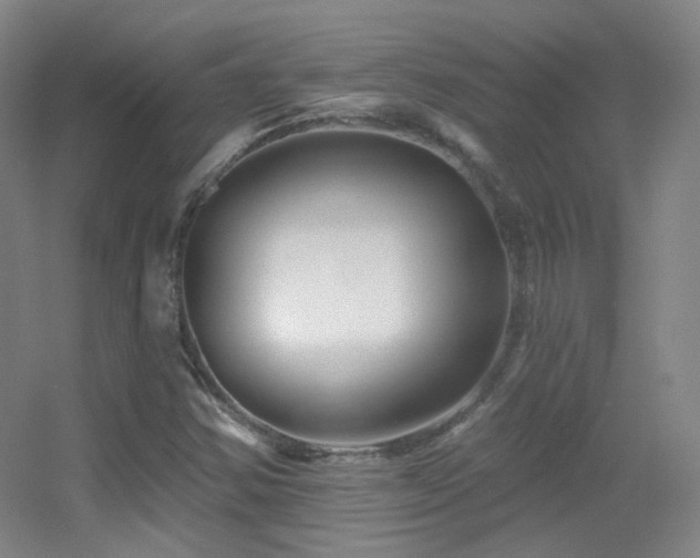 X0000055521354200508121032