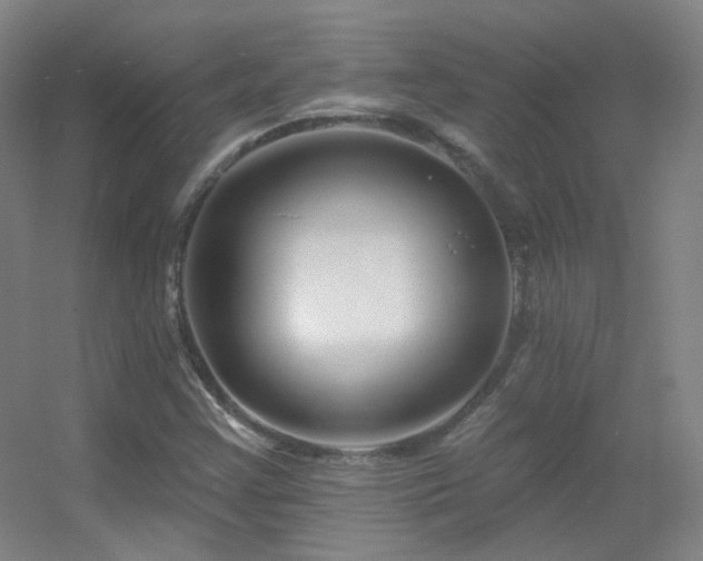 X0000055521355200508121032