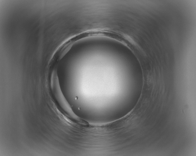 X0000055521356200508121032