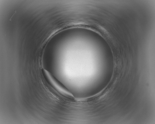 X0000055521361200508121032