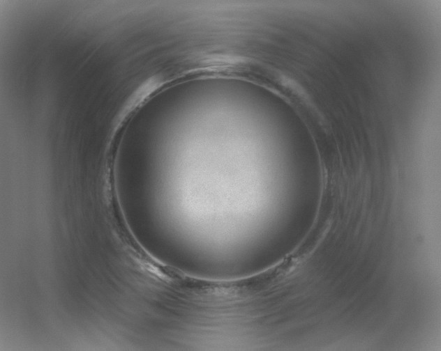 X0000055521362200508121032