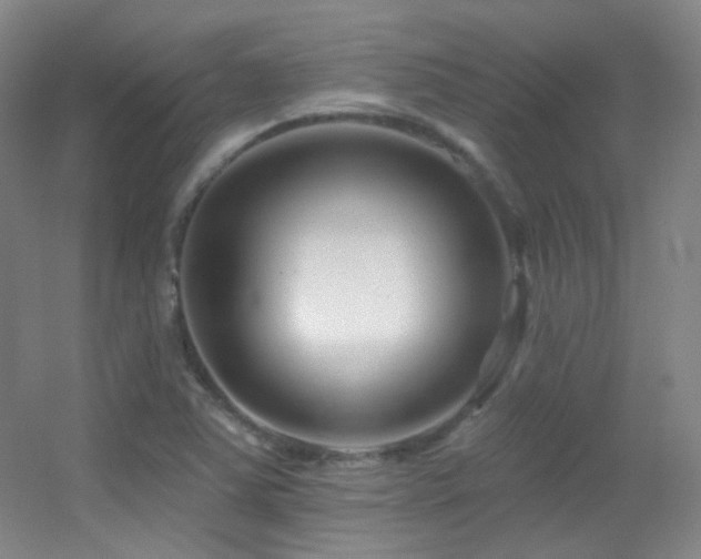 X0000055521363200508121032