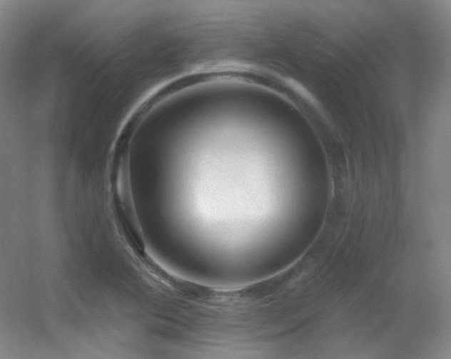 X0000055521364200508121032