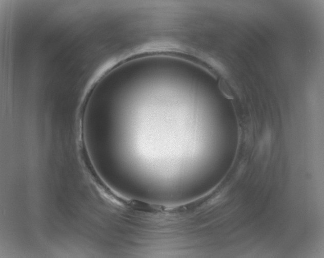 X0000055521366200508121032