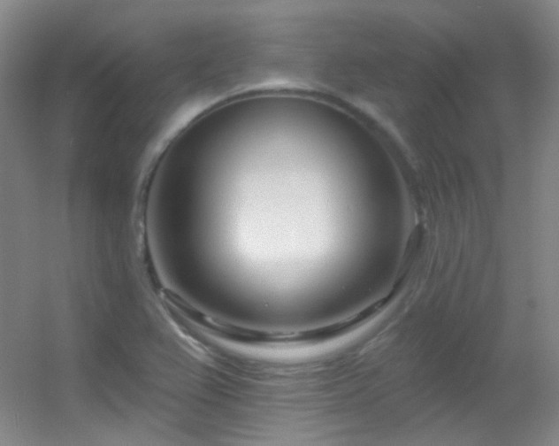X0000055521367200508121032