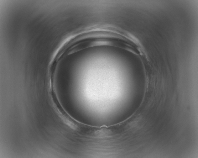 X0000055521368200508121032