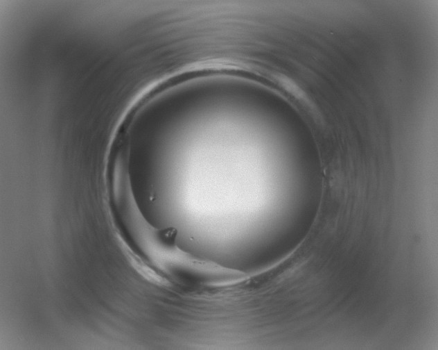 X0000055521372200508121032